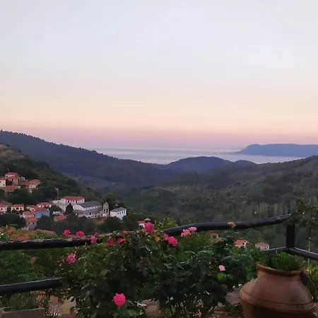 Oikia Panorama *